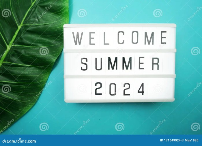 Student loan for summer 2024